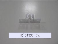 ﾄﾋﾞﾗｷﾔﾂﾁ  ﾒｽ