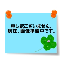 GCU3HB Gﾂﾏﾐｸﾞﾚ-